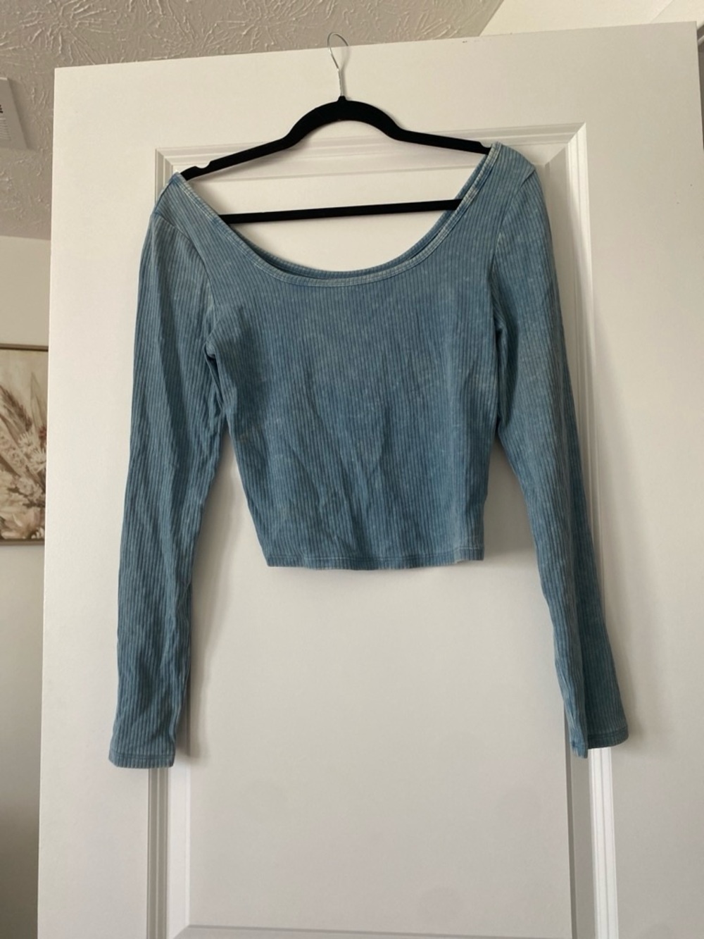 wild fable Ribbed Scoop-Neck Long Sleeve Crop Top — Light Blue